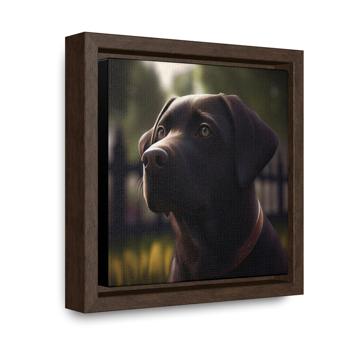 "Paws and Claws"   -   Gallery Canvas Wraps, Square Frame   -   #DS0296