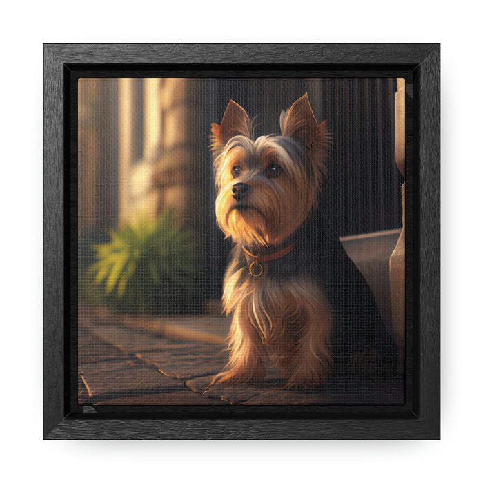 "Paws and Claws"   -   Gallery Canvas Wraps, Square Frame   -   #DS0343