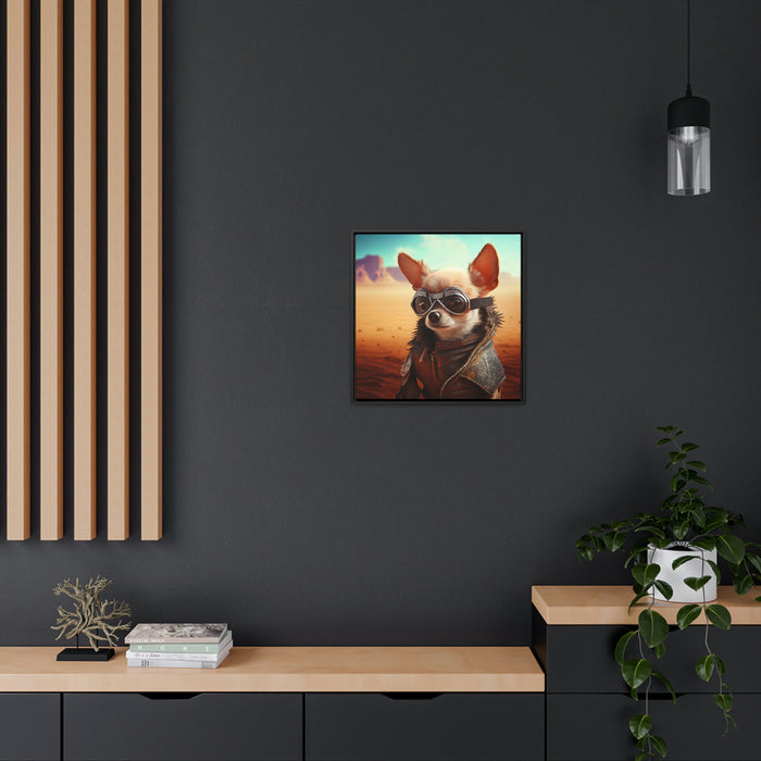 Chihuahua -  Gallery Canvas Wraps, Square Frame  -  #DS0427