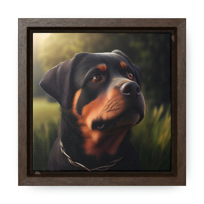 "Paws and Claws"   -   Gallery Canvas Wraps, Square Frame   -   #DS0329