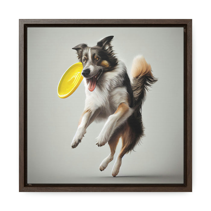 "Paws on the Field"   -  Gallery Canvas Wraps, Square Frame  -  #DS0017