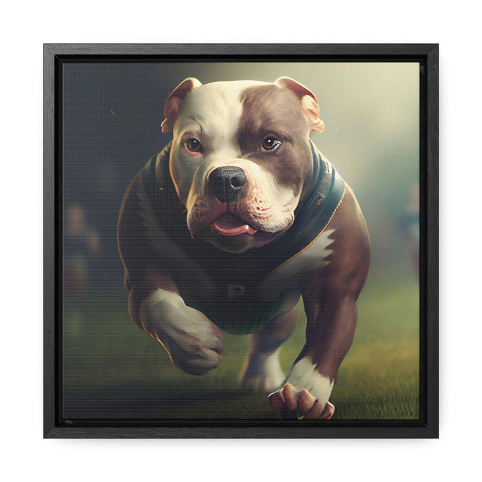 "Paws on the Field"   -  Gallery Canvas Wraps, Square Frame  -  #DS0084