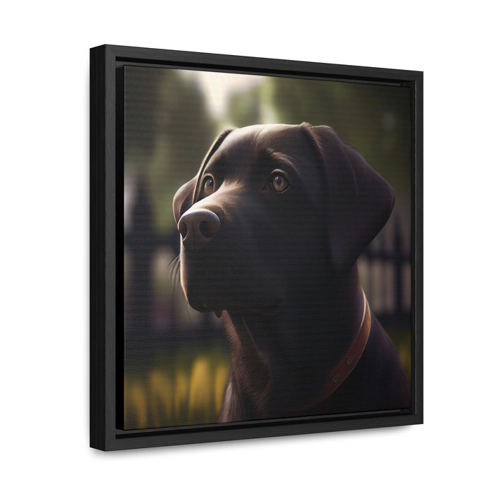 "Paws and Claws"   -   Gallery Canvas Wraps, Square Frame   -   #DS0296