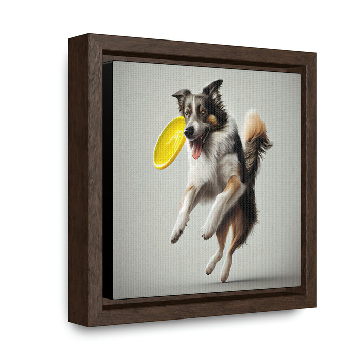 "Paws on the Field"   -  Gallery Canvas Wraps, Square Frame  -  #DS0017