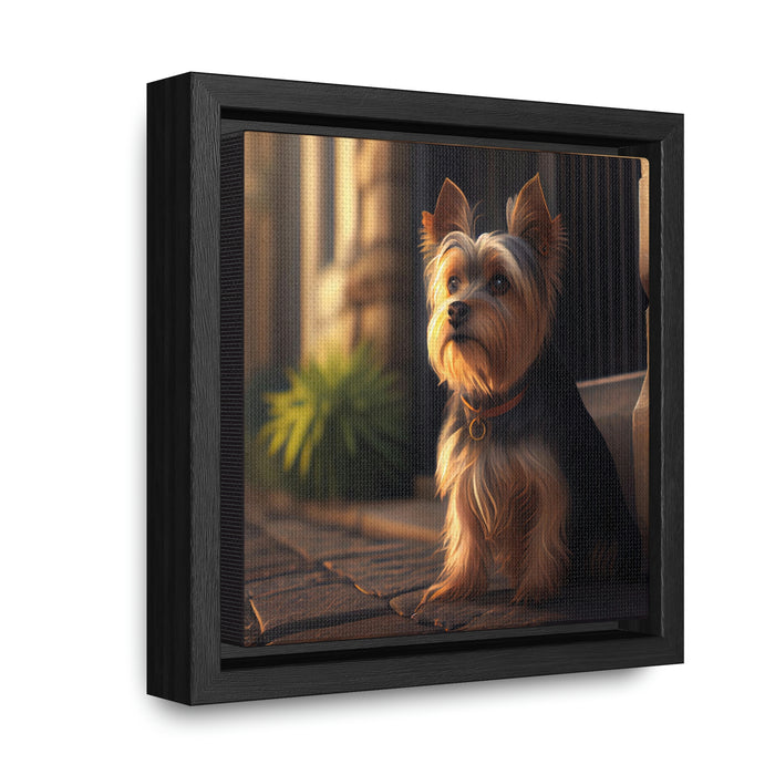 "Paws and Claws"   -   Gallery Canvas Wraps, Square Frame   -   #DS0343