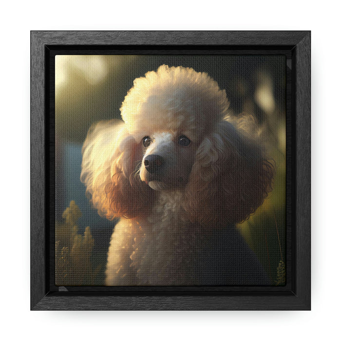 "Paws and Claws"   -   Gallery Canvas Wraps, Square Frame   -   #DS0308